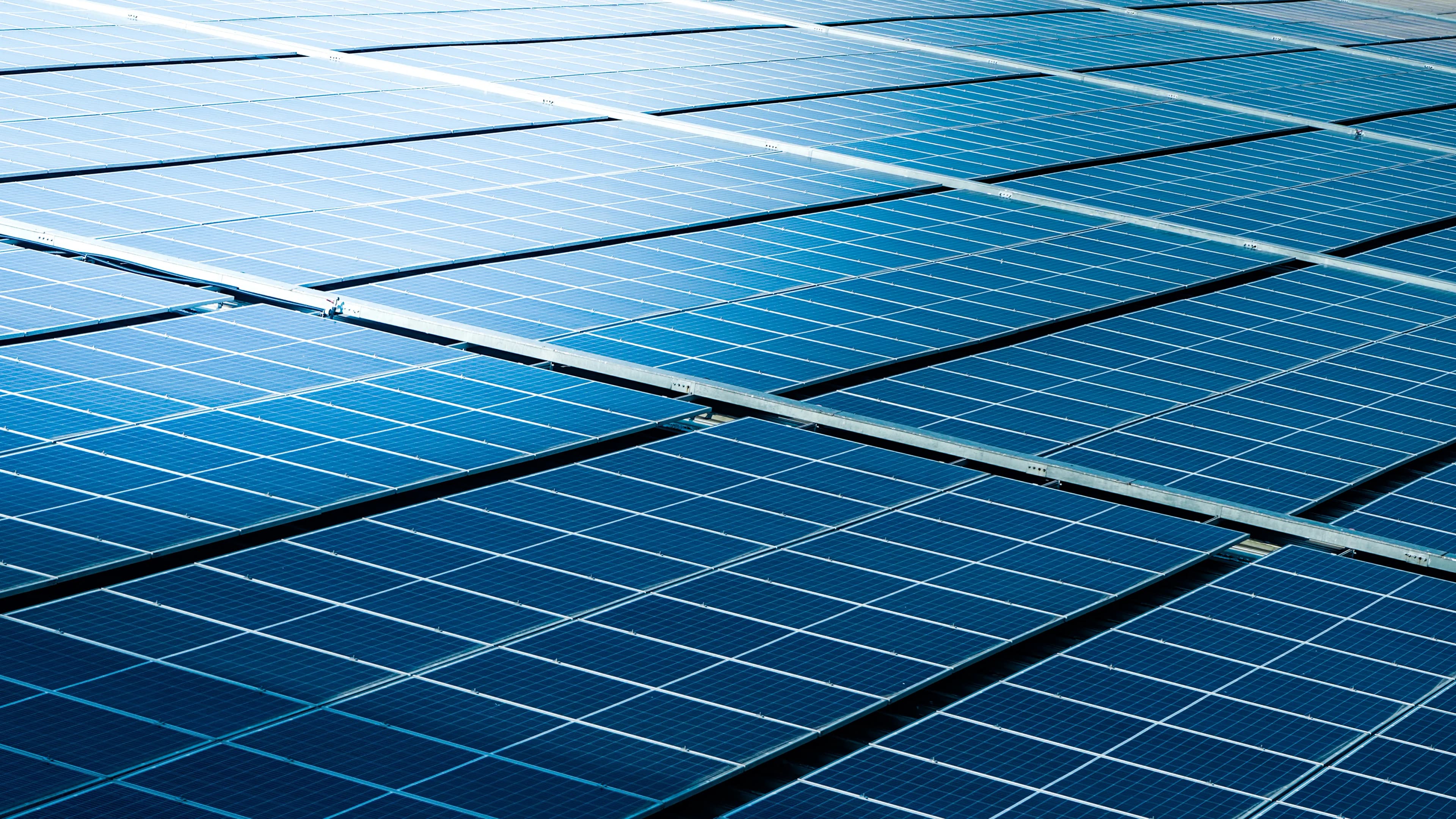 Bizleap x SolarArk: Website Revamp